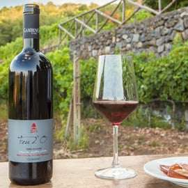 Catania, Taormina, Messina: tour di 3 cantine dell'Etna