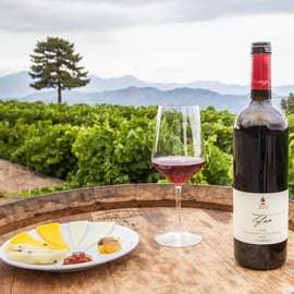 Catania, Taormina, Messina: tour di 3 cantine dell'Etna