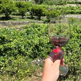 Messina: City Tour, Winery Visit, and Wine Tasting