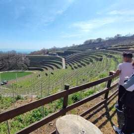 Vinprovning och rundtur i Taormina och Messina från Messina